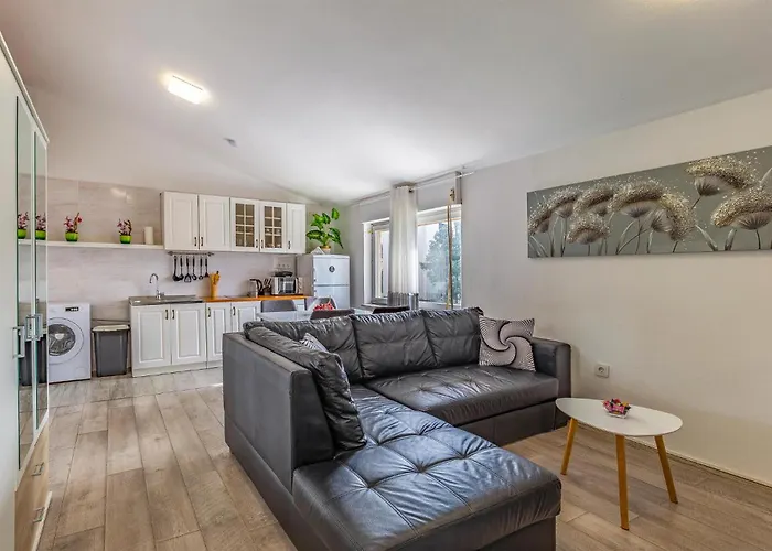 In With Wifi 반졸레